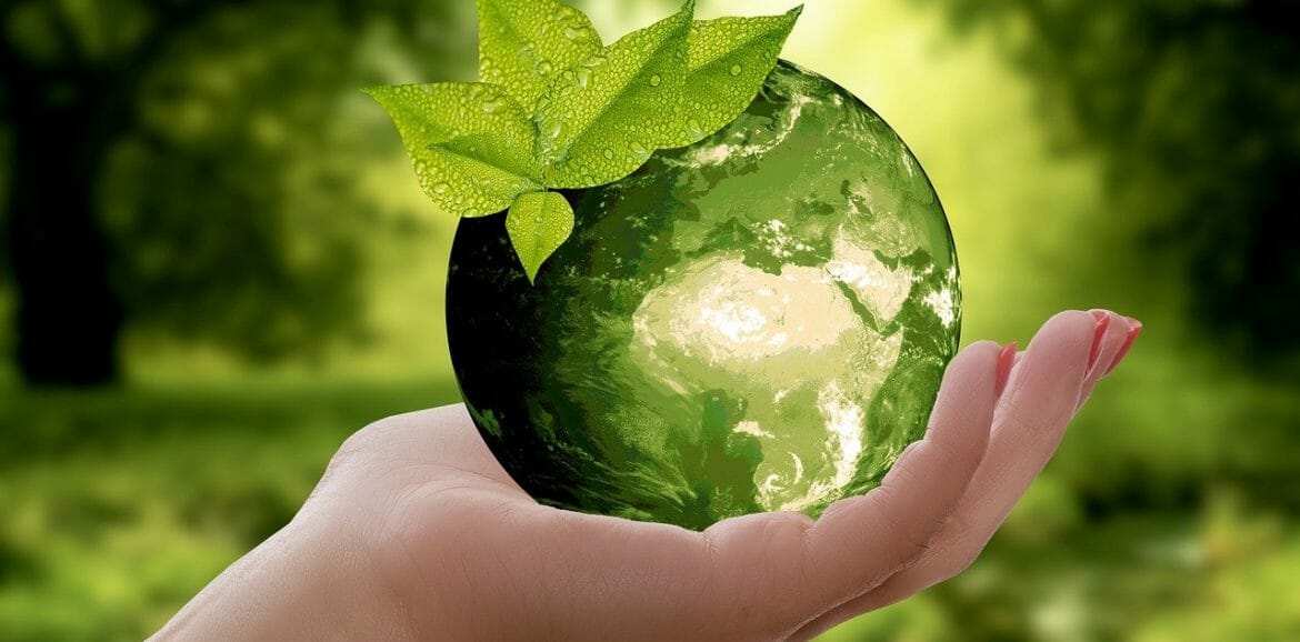 sustainability in a disposable world