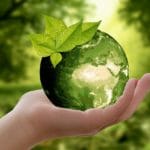 Sustainability in a Disposable Economy