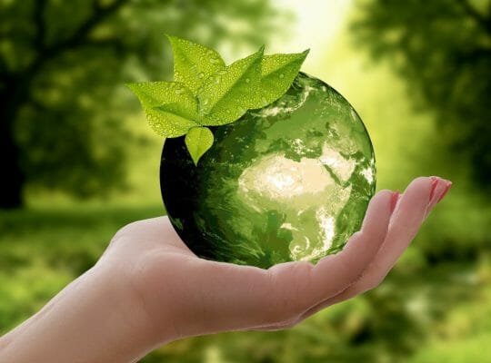 sustainability in a disposable world