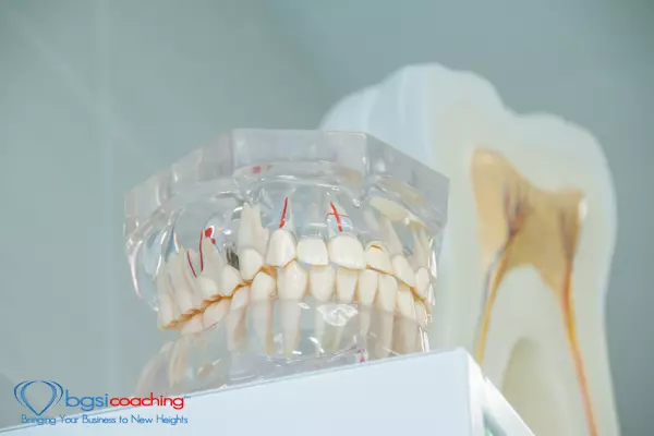 BGSICoaching | Getting Unstuck | Clean teeth denture, dental cut of the tooth, tooth model, and dentistry instruments